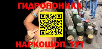 ECSTASY Гай