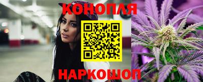 ECSTASY Гай