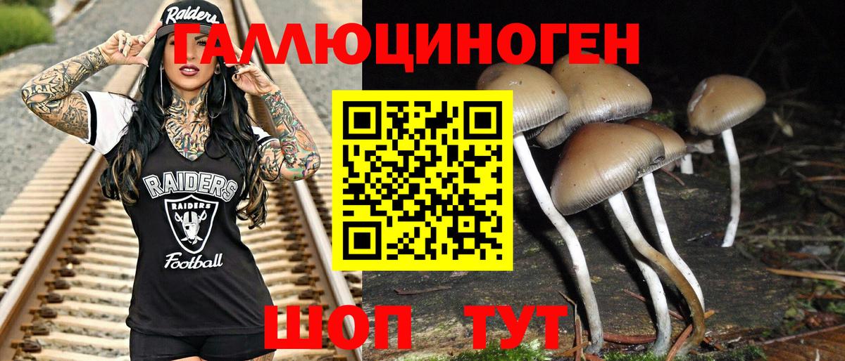 Галлюциногенные грибы Magic Shrooms  Галлюциногенные грибы Magic Shrooms  Вход с VPN  Кизилюрт 