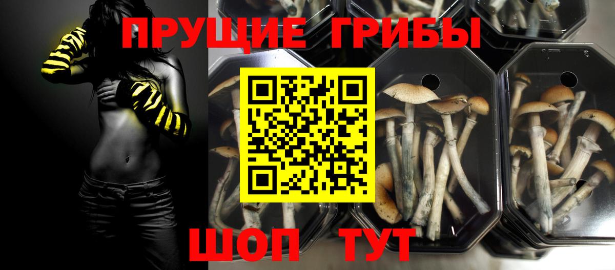 Вейп ТГК  Вход с VPN  Бошки Шишки  Героин  Меф  МЕФ кристаллы  Кизилюрт  Cocaine 